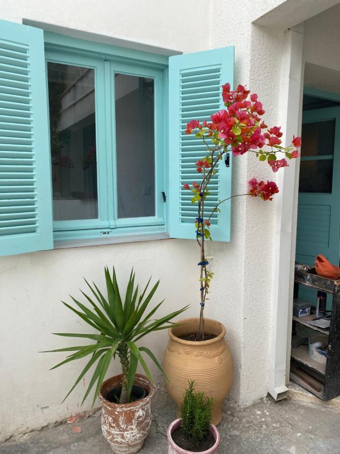 Lykourgos Homes Apartment *