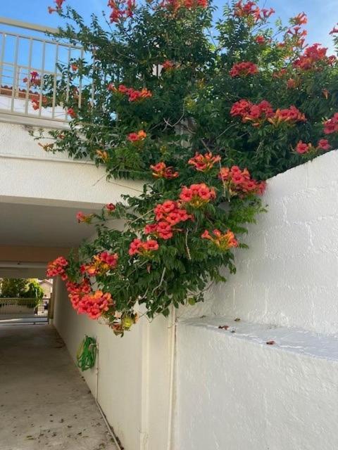 Lykourgos Homes Spata (East Attica)
